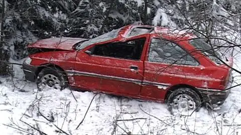 Ford wypadł z drogi