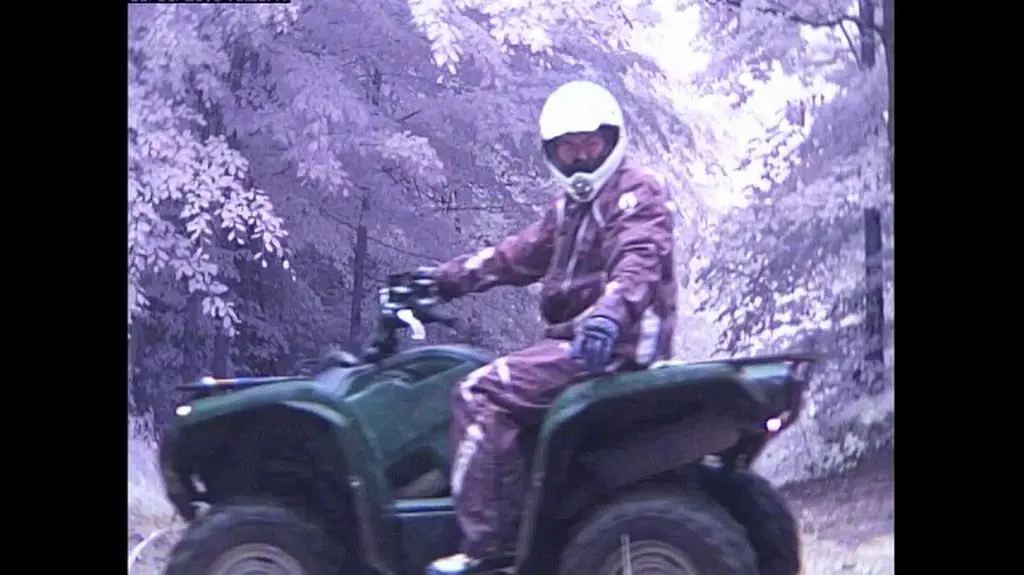 Fotopułapka leśników rejestruje