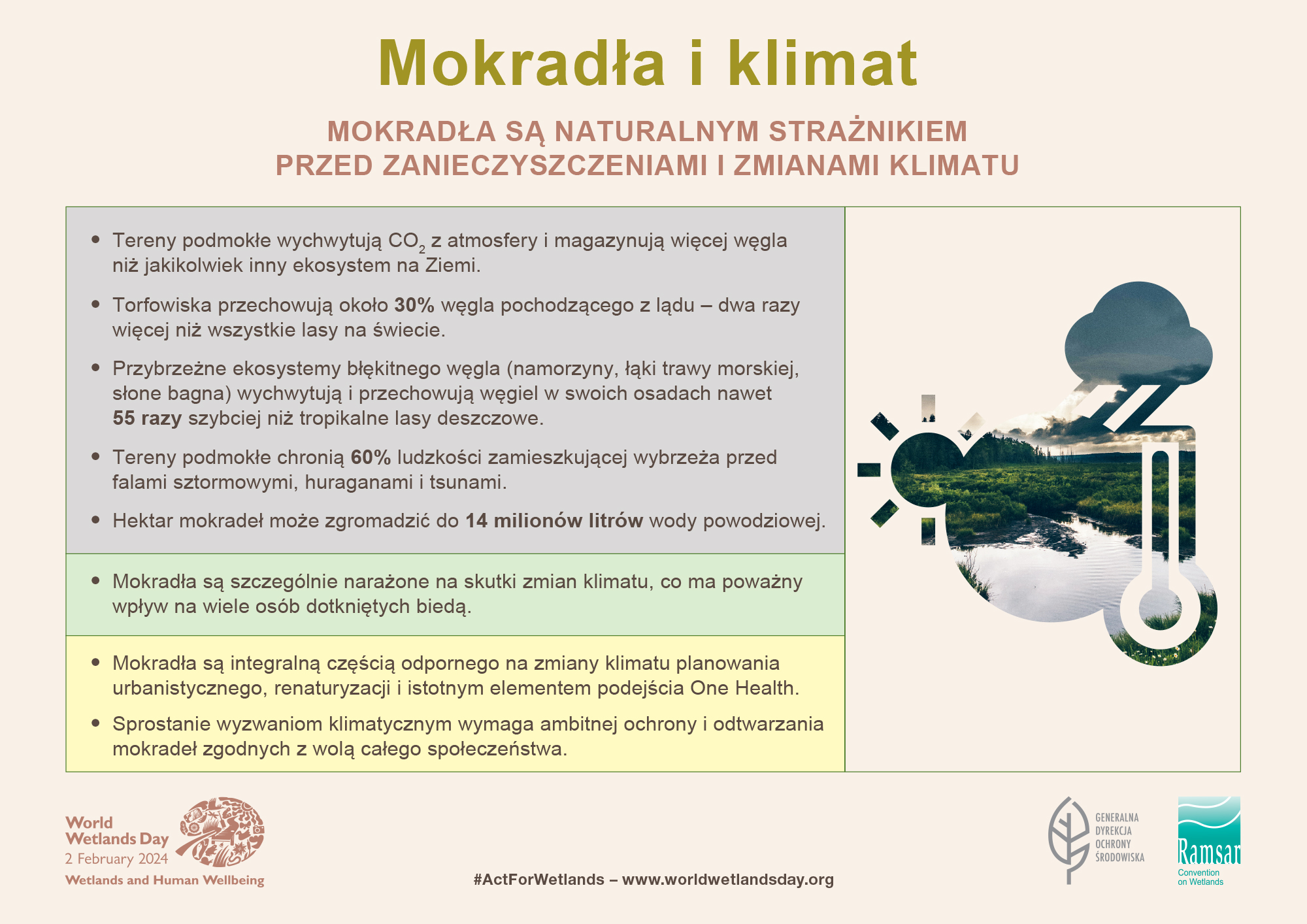 Mokradła i klimat
