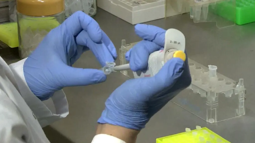 Genetyka pomogła rozwiązać zagadkę zabójstwa