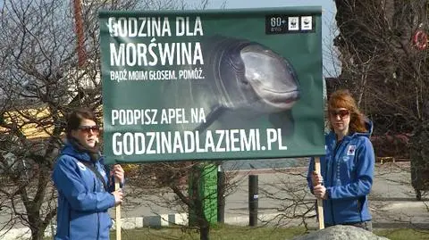 Godzina dla morświna 