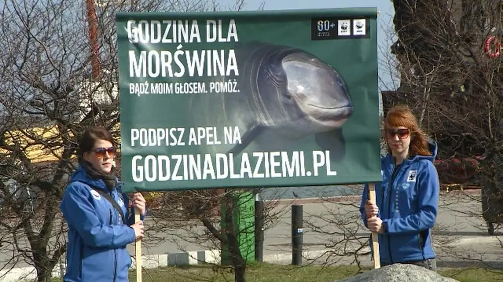 Godzina dla morświna 
