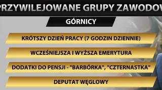 Górnicze przywileje pod lupą