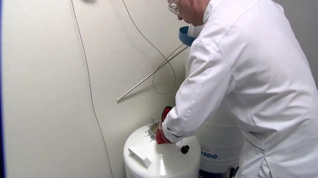 Gowin: zarodki z in vitro sprzedawane do Niemiec