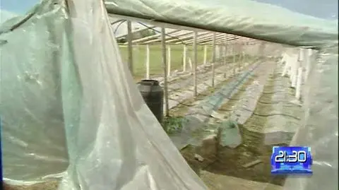 Gradobicie zniszczyło dachy