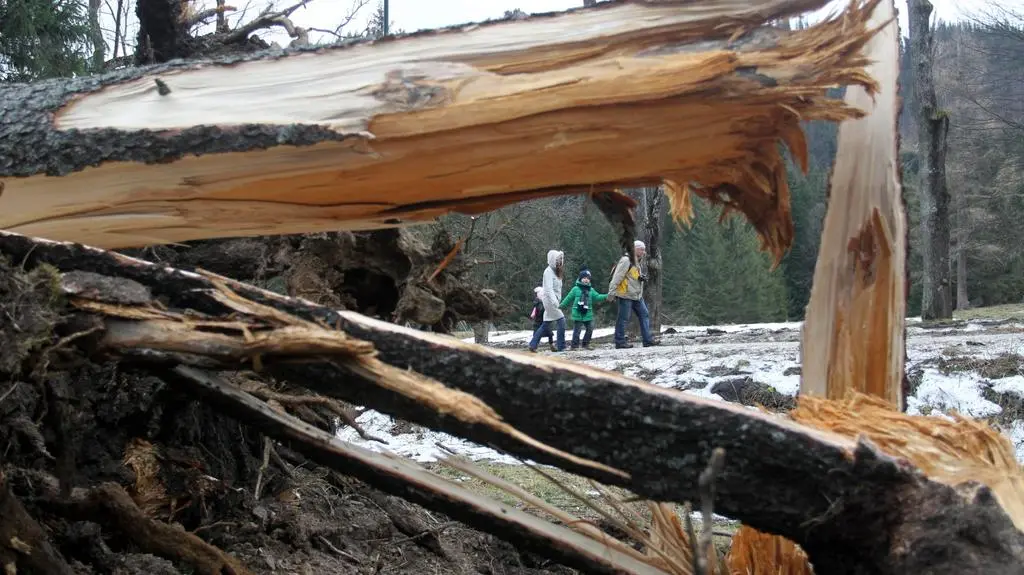 Halny szalał przez dwa dni