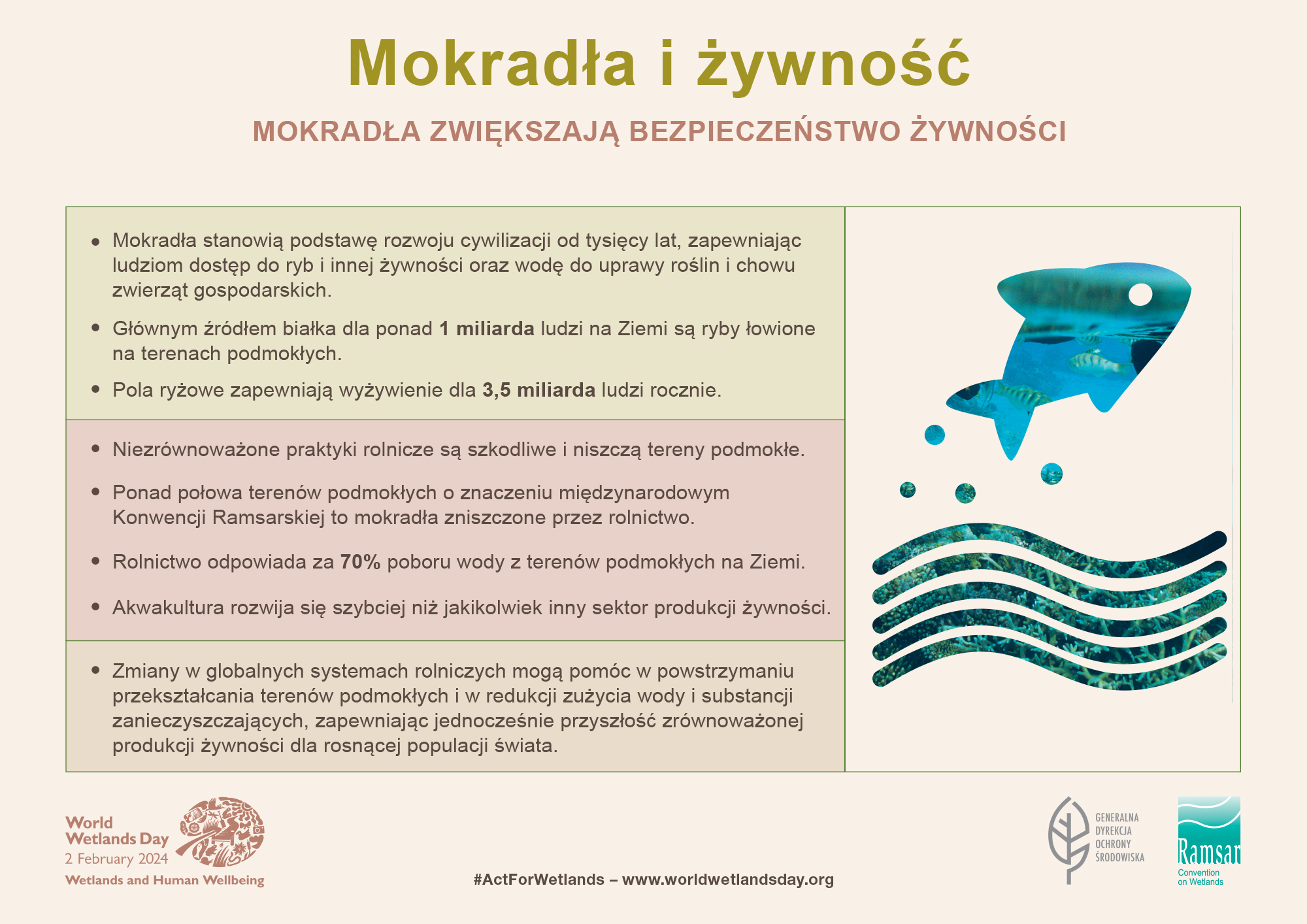 Mokradła i żywność