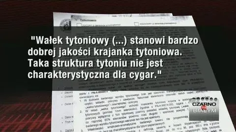 Importer kontra Urząd Celny