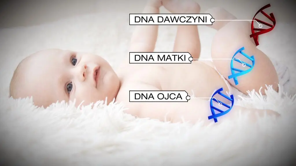 Inżynieria genetyczna?