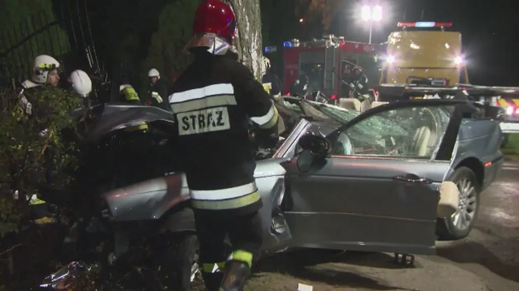 Jaguar uderzył w drzewo