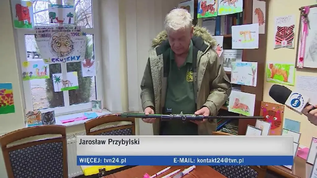 Jak w zoo uśpią tygrysy przed wyjazdem do Hiszpanii?