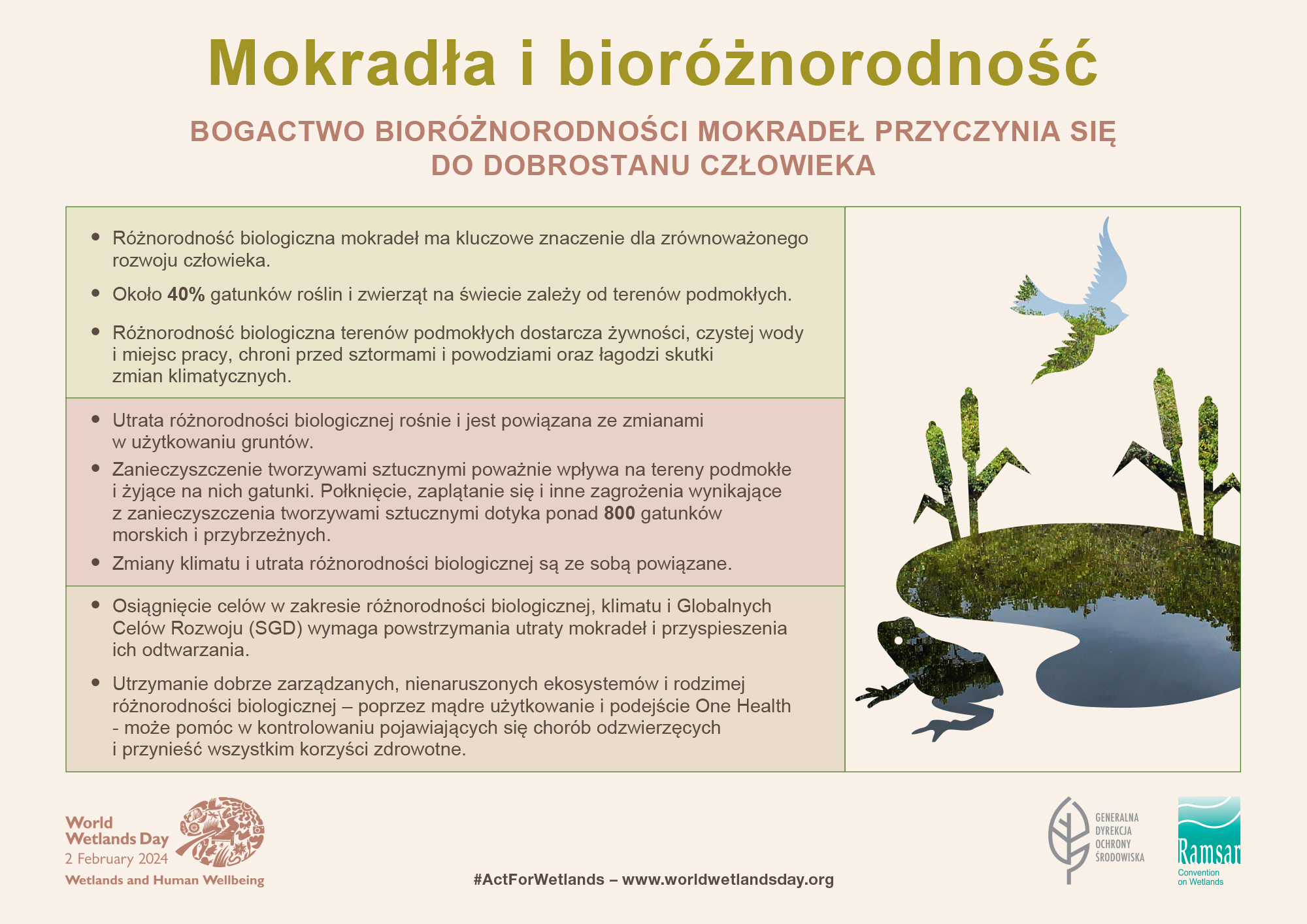 Mokradła i bioróżnorodność