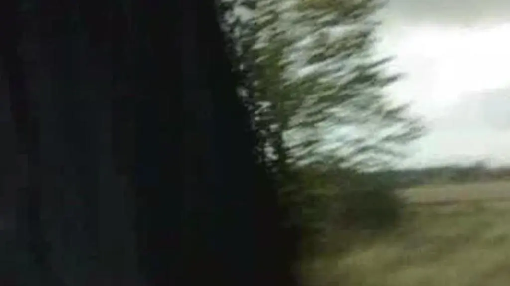 "Każdy z nas ucierpiał w mniejszym lub większym stopniu"