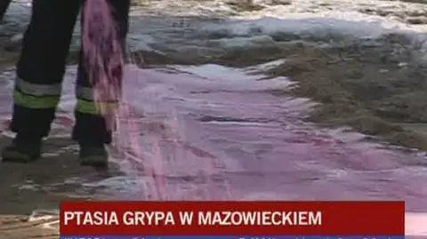 Krzysztof Jażdżewski o działaniach służb weterynaryjnych na terenie gminy Brudzień