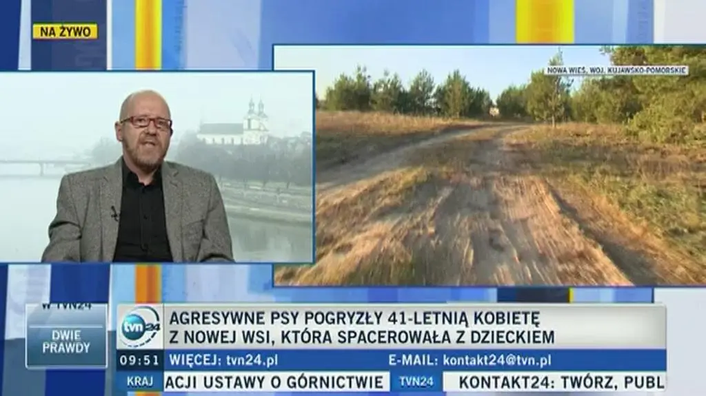 Kto odpowie za taki psów z Nowej Wsi pod Włocławkiem, które pogryzły kobietę?