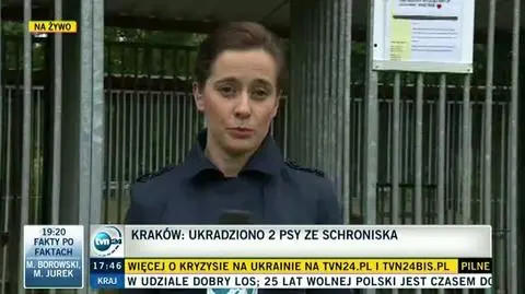 Ktoś wykradł dwa psy ze schroniska? "Oba były tęgie" 