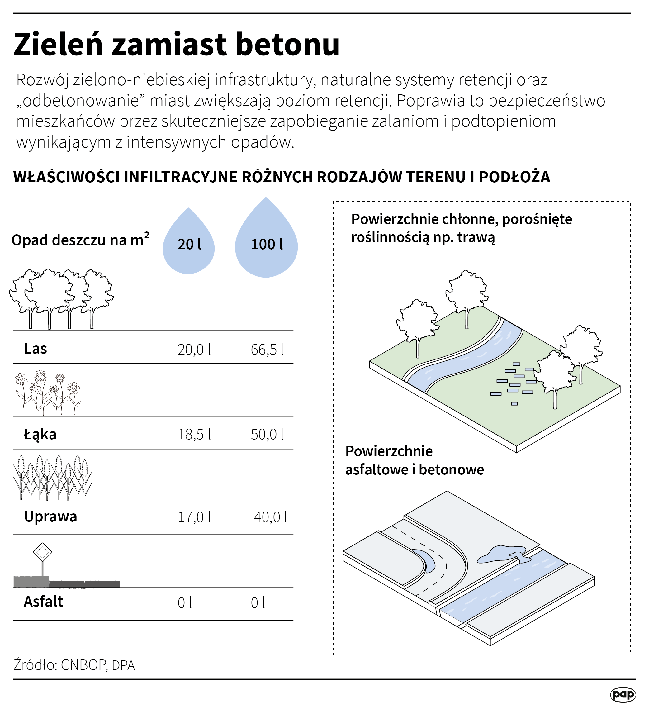 Zieleń zamiast betonu