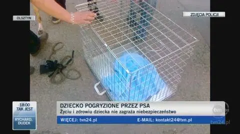 Lekarz o stanie chłopca (TVN24)