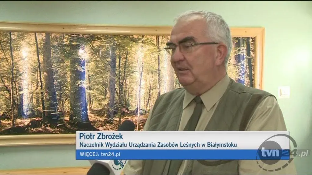 Leśnik o sporze wokół Puszczy Białowieskiej