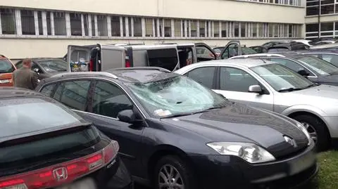 List gończy za gangsterem