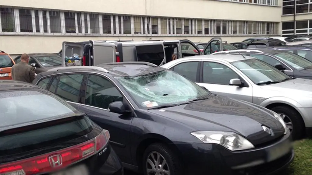 List gończy za gangsterem
