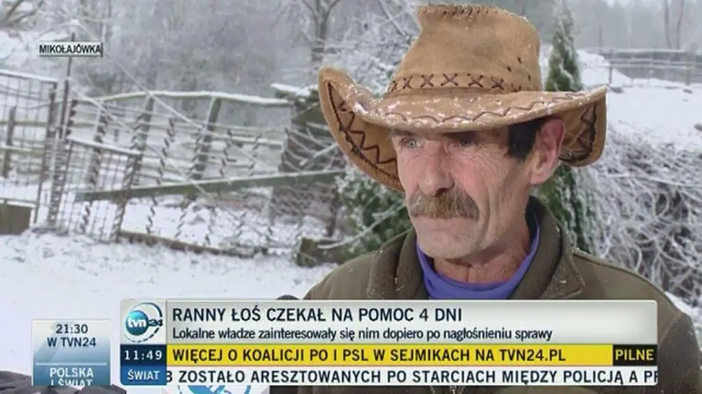 Łoś czuje się troszeczkę lepiej. Jest bardziej wyciszony