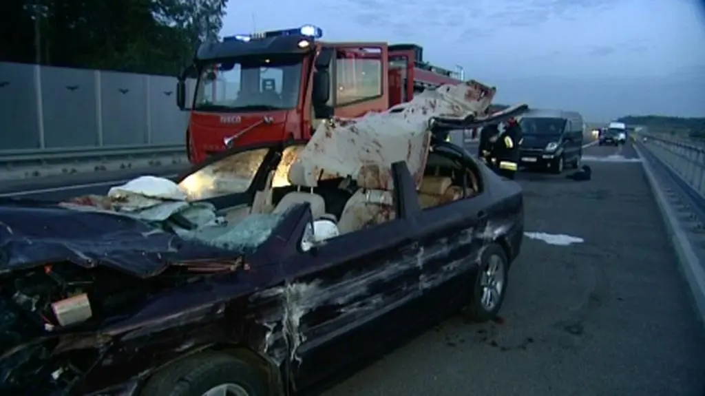 Łoś na autostradzie, zabezpieczeń wciąż nie ma