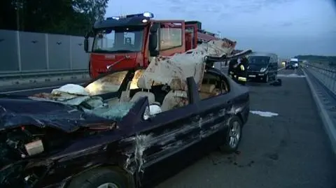 Łoś na autostradzie, zabezpieczeń wciąż nie ma