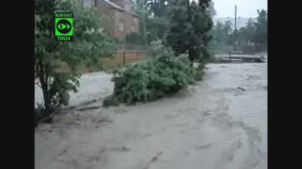 Łosie zalane