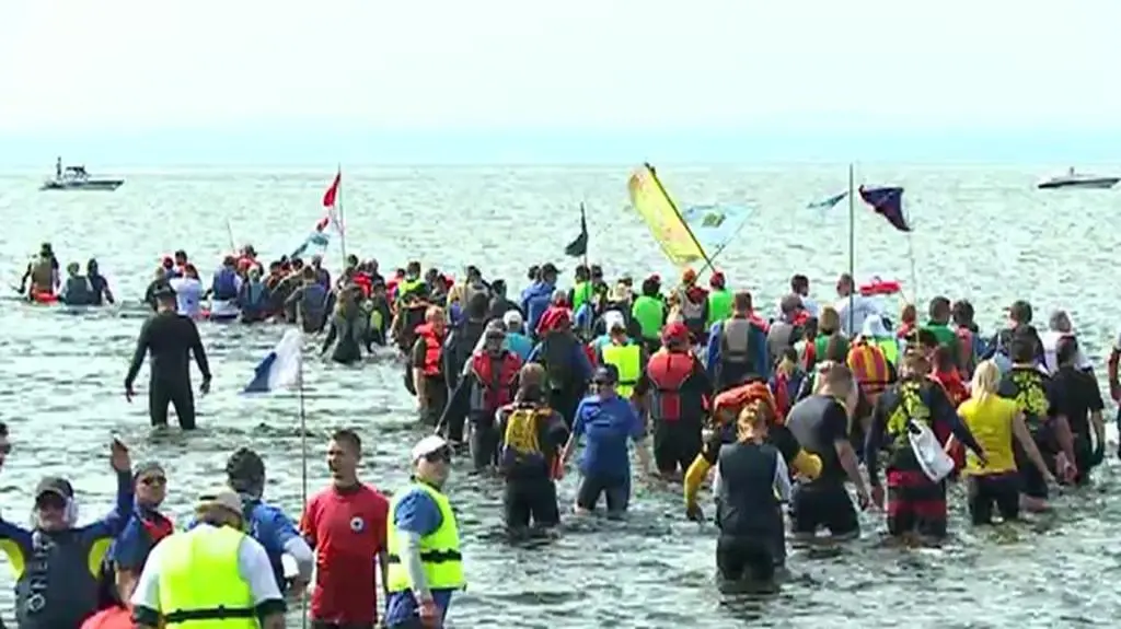 Marsz śledzia przez Zatokę Pucką