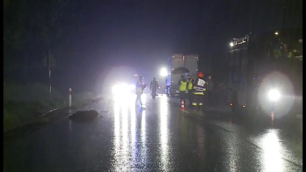 mł. asp. Ewelina Buda z brzeskiej policji o wypadku / TVN24