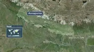 MSZ uruchomiło specjalną infolinię