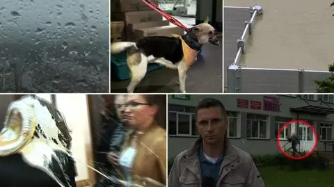 Najlepsze nagrania tygodnia w tvn24.pl