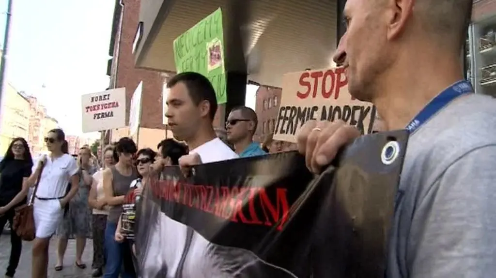 Nie chcą fermy norek koło Żurawiny 