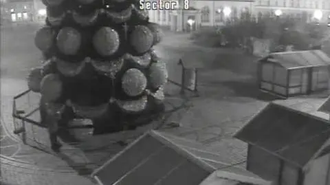 Nocne życie wrocławskiej choinki