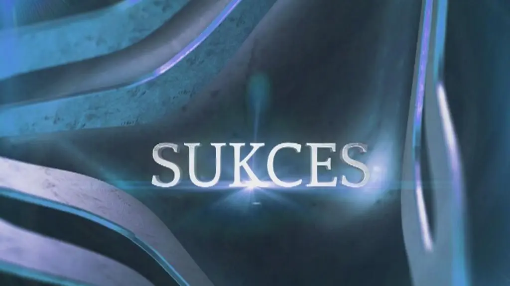 Nominowani w kategorii "Sukces"