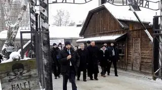 Obchody 70. rocznicy wyzwolenia Auschwitz 