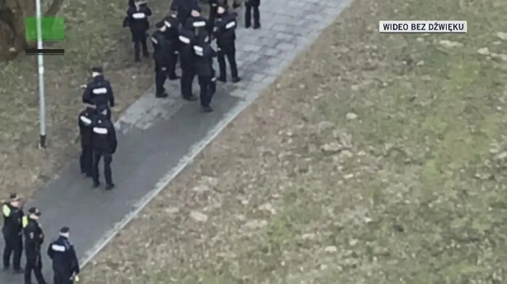 Obława na dzika trwała dwie godziny