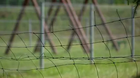 Oparł się o siatkę, poraził go prąd