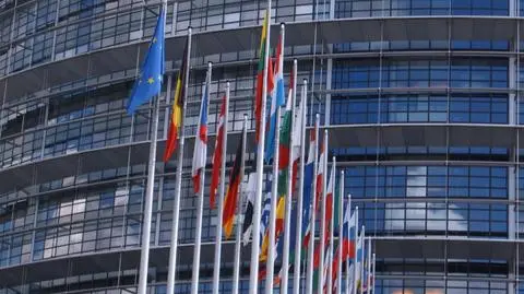 Parlament Europejski - "prawdziwy parlament, ustala połowę praw"