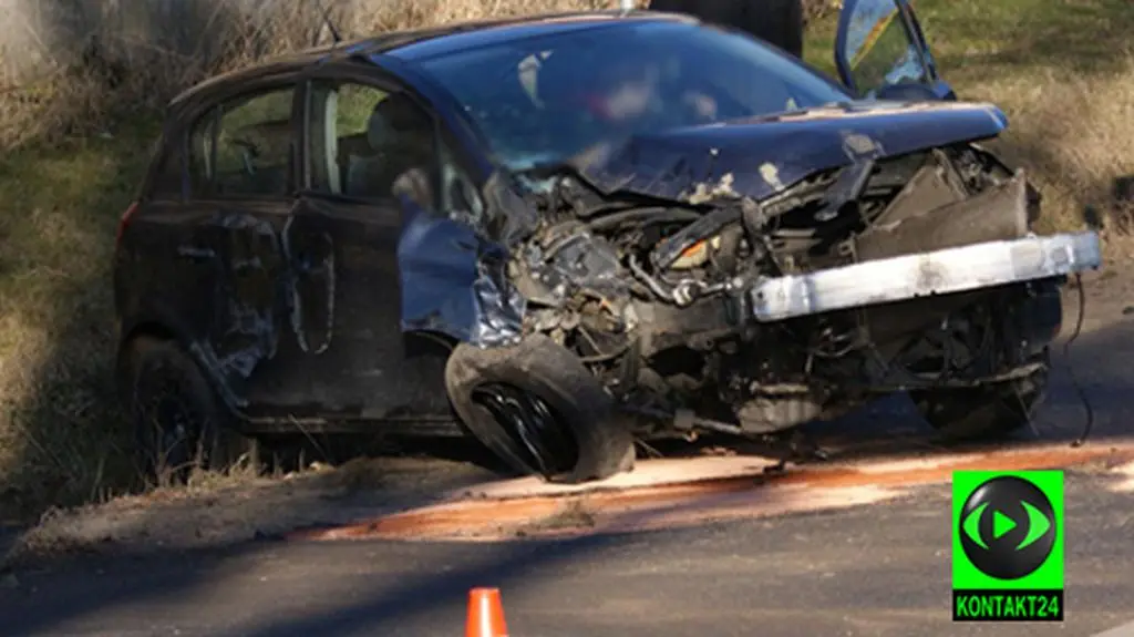 Pijana sędzia wjechała w drzewo