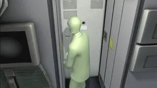 Pilot rozmyślenie doprowadził do katastrofy 