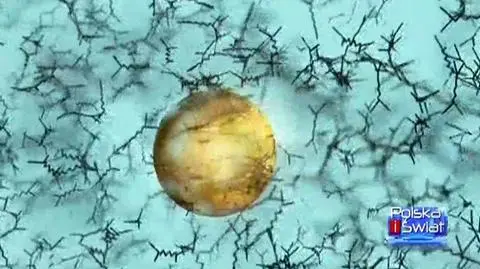 Po co szukano "boskiej czątki"?