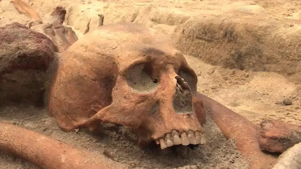 Pochówki wampiryczne w Gliwicach