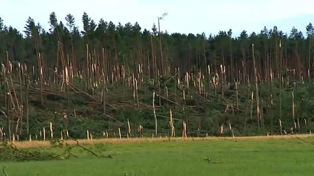 Połamane drzewa w miejscowości Łążek
