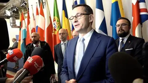 "Polska będzie w swoim tempie dochodzić do neutralności klimatycznej"