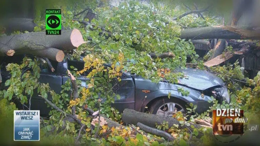 Polska sprząta po ataku zimy (TVN24)