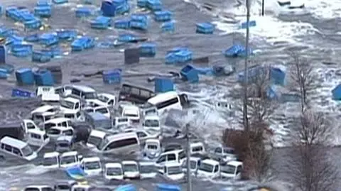 Potężne trzęsienie ziemi i tsunami nawiedziło Japonię