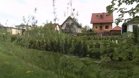 Powierzchnia pożaru była niewielka - ok. 15 m kw.