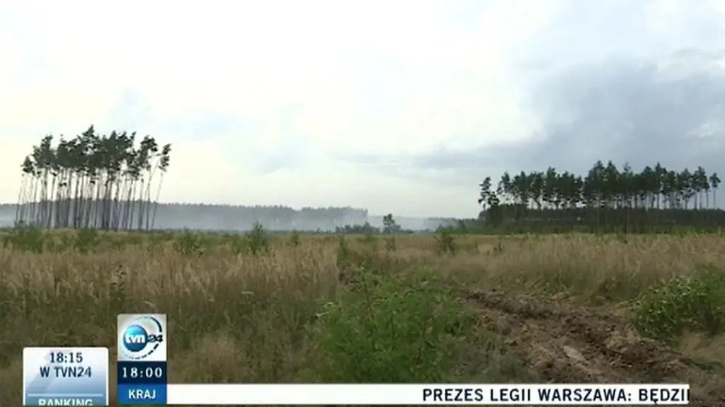 Pożar lasu pod Prochowicami 